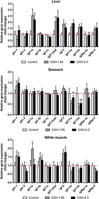 Cysteamine improves growth and the GH/IGF axis in gilthead sea bream (Sparus aurata): in vivo and in vitro approaches